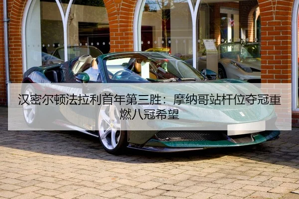 han-mi-er-dun-fa-la-li-shou-nian-di-san-sheng-mo-na-ge-zhan-gan-wei-duo-guan-zhong-ran-ba-guan-xi-wang-2-660.jpg