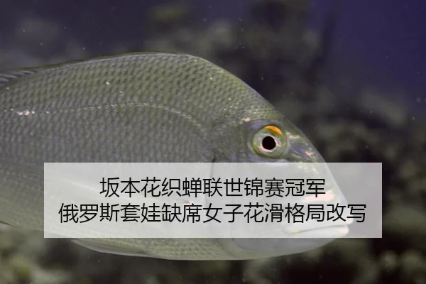 ban-ben-hua-zhi-chan-lian-shi-jin-sai-guan-jun-e-luo-si-tao-wa-que-xi-nv-zi-hua-hua-ge-ju-gai-xie-2-779.jpg